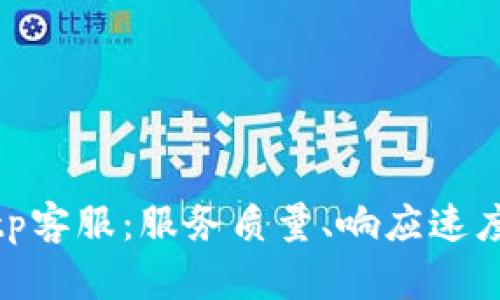 全面了解Bitp客服:服务质量、响应速度与用户体验