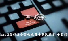 biasoti选择适合你的比特币钱包版本：