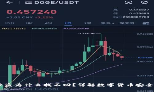 USDT钱包被盗为什么找不回?详解数字货币安全与追回难题