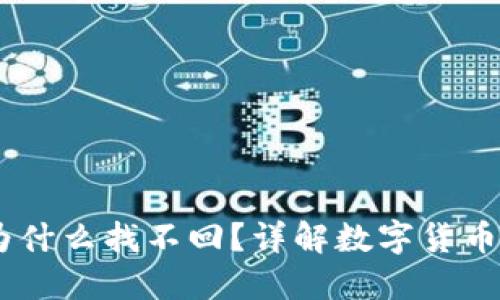 USDT钱包被盗为什么找不回?详解数字货币安全与追回难题