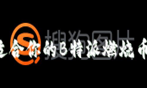如何选择适合你的B特派燃烧币:全面指南