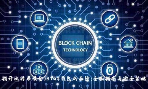 揭开比特币黄金(BTG)钱包的面纱:全面指南与安全策略