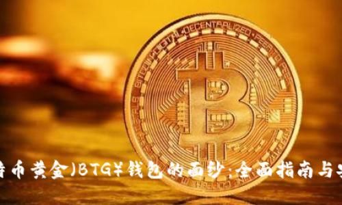 揭开比特币黄金(BTG)钱包的面纱:全面指南与安全策略