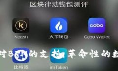 深入解析比特派对BTN的支持：革命性的