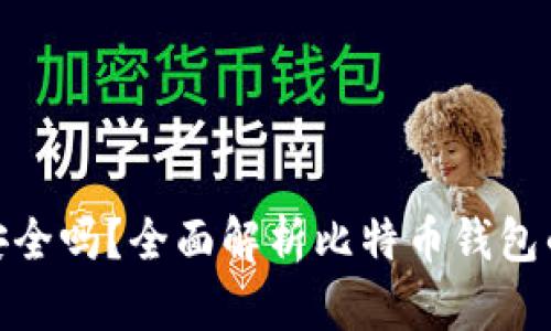 存比特币钱包安全吗?全面解析比特币钱包的安全性与风险