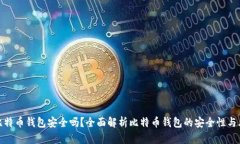 存比特币钱包安全吗？全面解析比特币