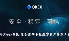 BitKeep钱包：适合您的多链数字资产管
