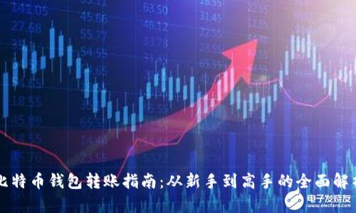 比特币钱包转账指南:从新手到高手的全面解析