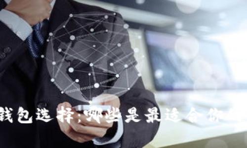 全面解析比特币钱包选择:哪些是最适合你的比特币存储工具?