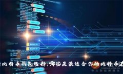 全面解析比特币钱包选择：哪些是最适