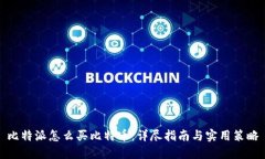 比特派怎么买比特币：详尽指南与实用