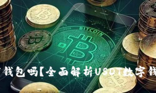 USDT可以提到数字钱包吗？全面解析USDT数字钱包的使用及安全性