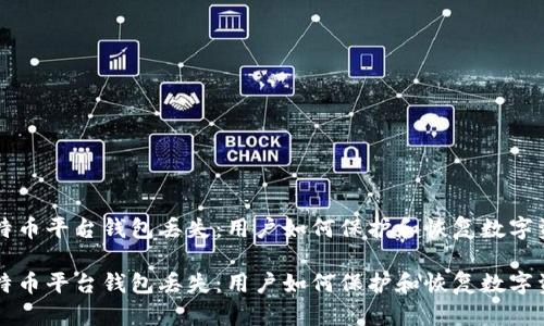 比特币平台钱包丢失：用户如何保护和恢复数字资产

比特币平台钱包丢失：用户如何保护和恢复数字资产