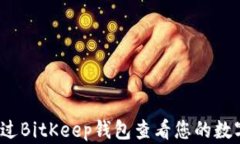 如何通过BitKeep钱包查看您的数字资产