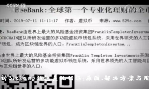 全面解析Bitkeep钱包系统错误:原因、解决方案与用户指南