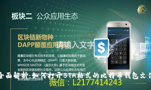 全面解析:如何打开BTA格式的比特币钱包文件
