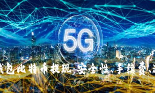 全面解析Plus钱包比特币提现:安全性、手续费、速度及操作指南