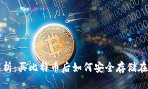 全面解析:买比特币后如何安全存储在钱包中
