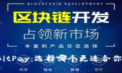 BitP与BitPay：选择哪个更适合你的需求