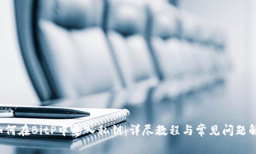 如何在BitP中导入私钥:详尽教程与常见问题解析