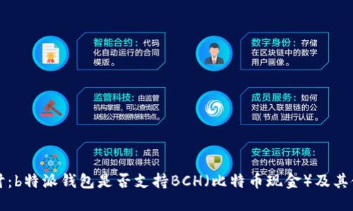深入探讨:b特派钱包是否支持BCH(比特币现金)及其使用指南