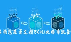 深入探讨：b特派钱包是否支持BCH（比