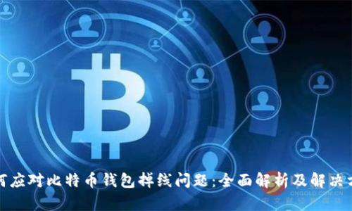 如何应对比特币钱包掉线问题:全面解析及解决方案