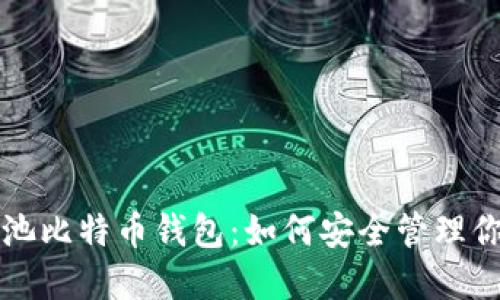 全面解读鱼池比特币钱包:如何安全管理你的加密资产