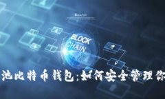 全面解读鱼池比特币钱包：如何安全管