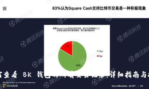 如何查看 BK 钱包的所有交易记录:详细指南与技巧