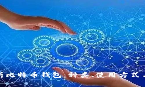 全面解析比特币钱包:种类、使用方式与安全性