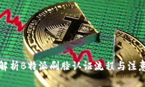 全面解析B特派刷脸认证流程与注意事项