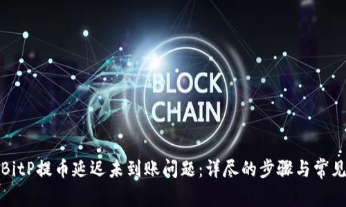 如何解决BitP提币延迟未到账问题:详尽的步骤与常见解决方案
