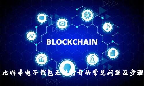 解决比特币电子钱包无法打开的常见问题及步骤指南