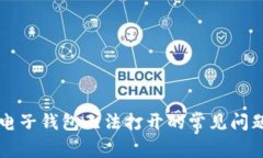 解决比特币电子钱包无法打开的常见问