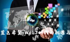 构建蓝色希翼：Web3时代的机遇与挑战