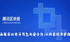 全面解析比特币钱包的安全性：从种类