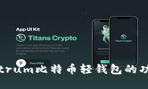 深入探讨Electrum比特币轻钱包的功能与使用指南