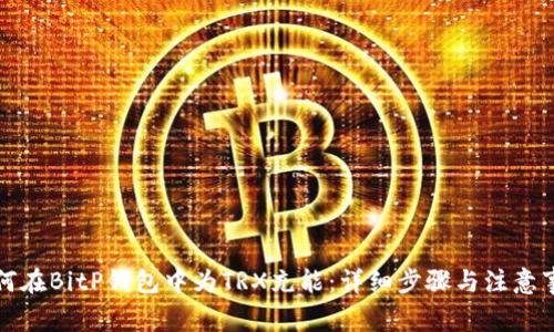 如何在BitP钱包中为TRX充能:详细步骤与注意事项