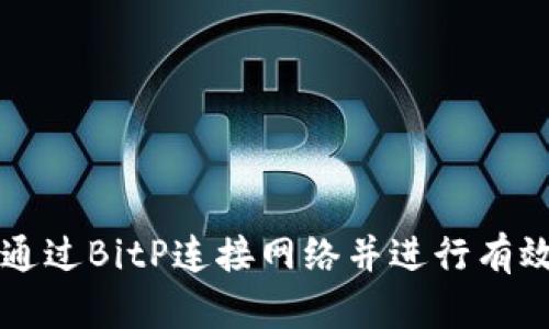 如何通过BitP连接网络并进行有效使用