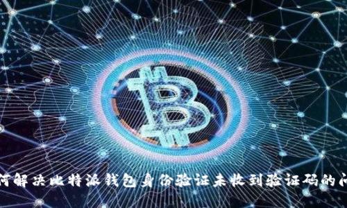 如何解决比特派钱包身份验证未收到验证码的问题
