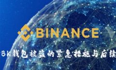 如何应对BK钱包被盗的紧急措施与后续
