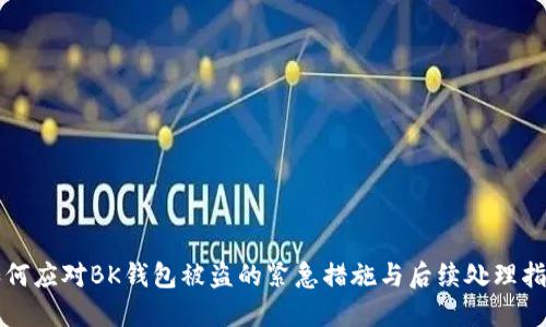 如何应对BK钱包被盗的紧急措施与后续处理指南