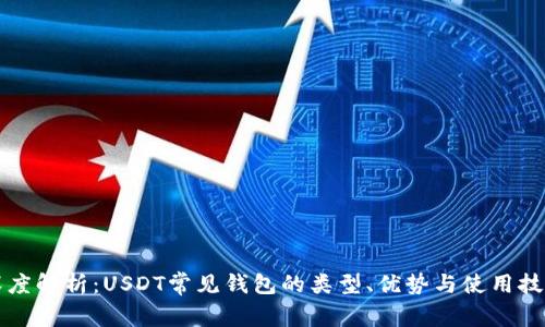 深度解析：USDT常见钱包的类型、优势与使用技巧