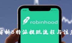 详细解析B特派提现流程与注意事项
