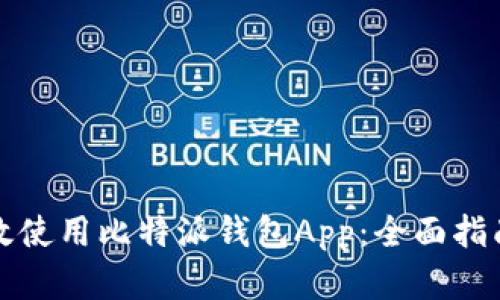 如何安全高效使用比特派钱包App:全面指南与实操技巧