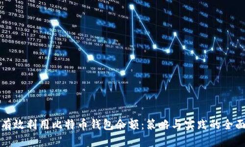 如何有效利用比特币钱包余额：策略与实践的全面指南