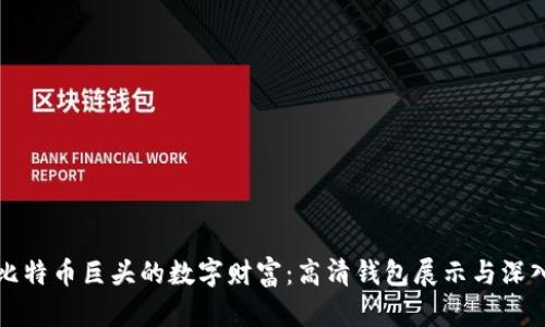 探秘比特币巨头的数字财富:高清钱包展示与深入解析