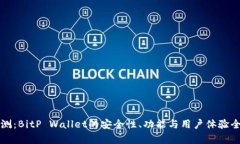 深入评测：BitP Wallet的安全性、功能与