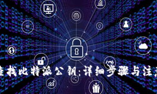 如何查找比特派公钥：详细步骤与注意事项